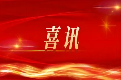 喜讯！中孚信息入选安全419 “2023年度优秀解决方案”